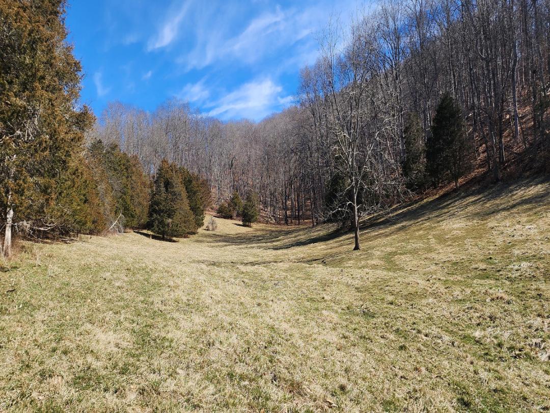 Middlebrook, VA 243.07 acres Land and Farms Realty